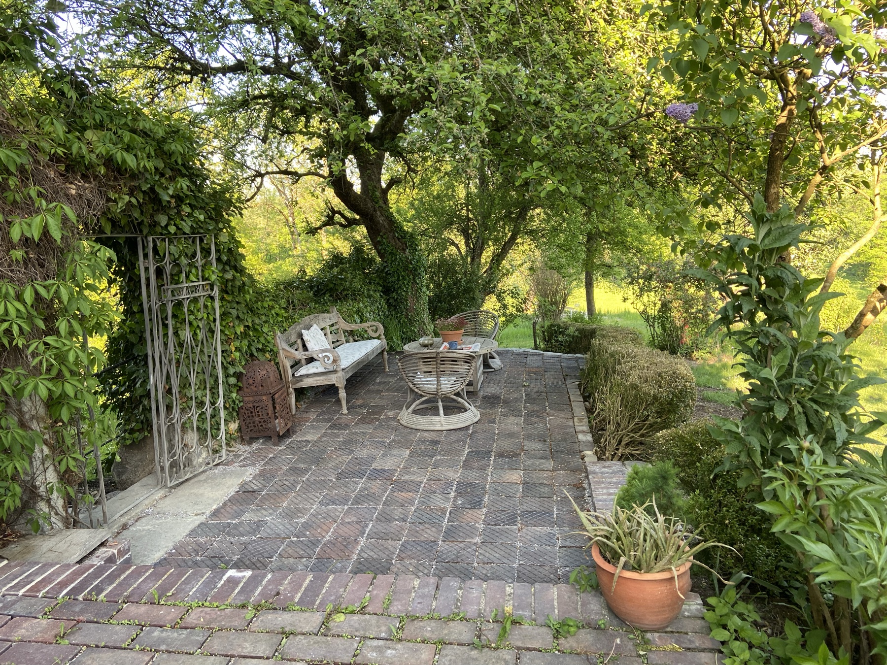 Verwunschene Terrasse unter einem alten Baum auf dem Frauenholz, mit Holzbank und Blick in die Wiese