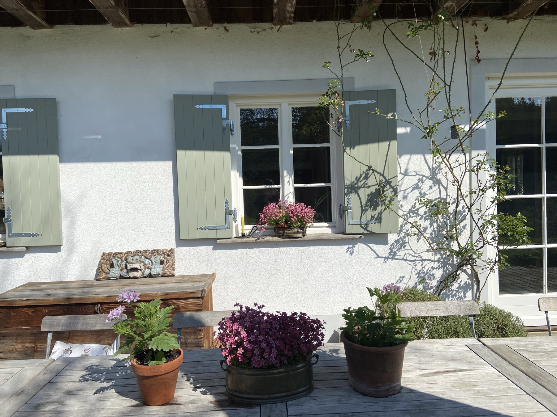Salbeigrüne Fensterläden und Frühlingsblumen auf der Terrasse