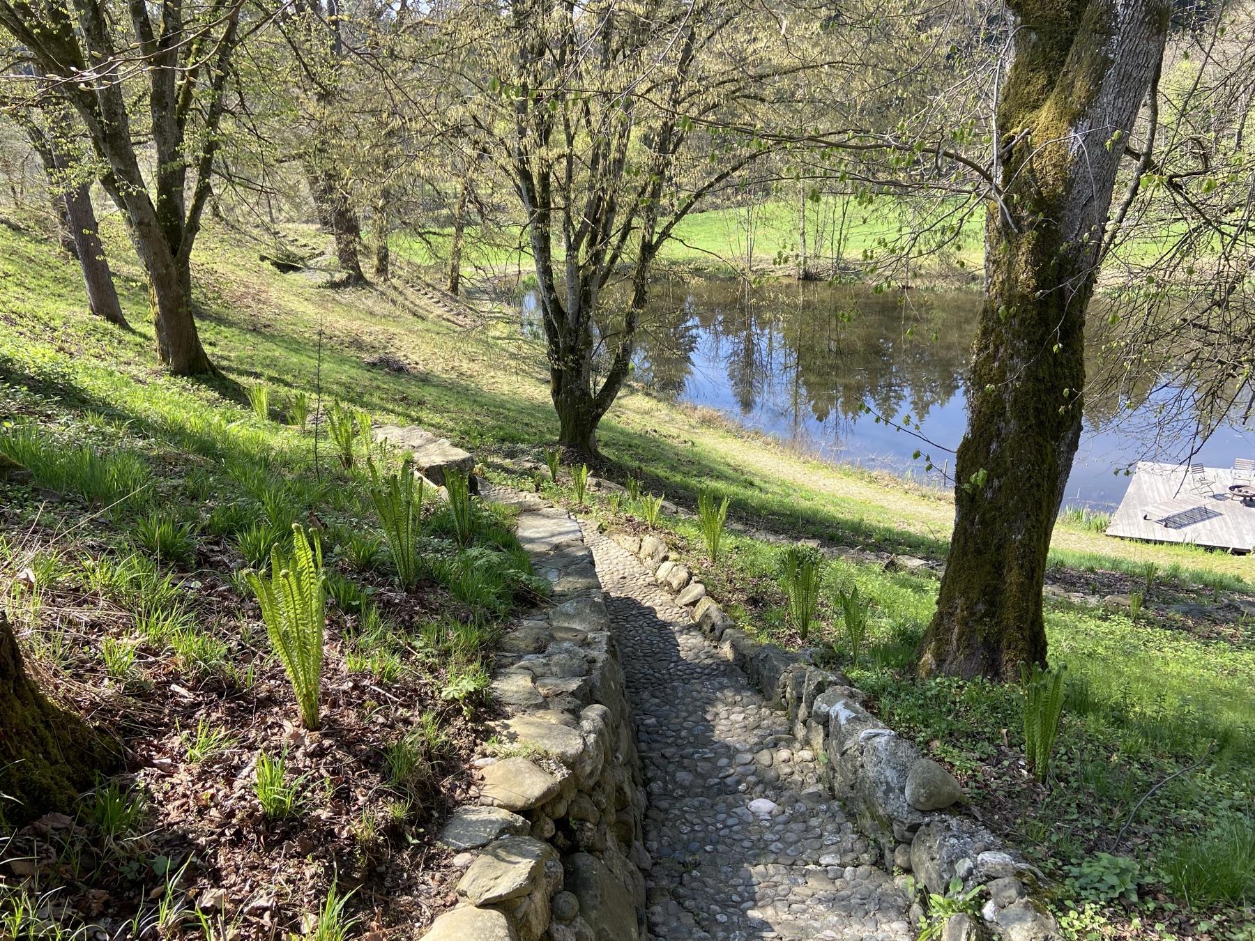 Ein Steinweg führt durch frisches Frühlingsgrün hinunter zum Wasser auf dem Frauenholz